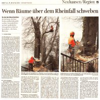 Wenn Bäume über dem Rheinfall schweben
