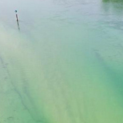 Verstopfte Schifffahrtsrinne im Rhein