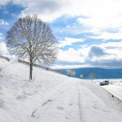 thumbnail White christmas in Schaffhausen?