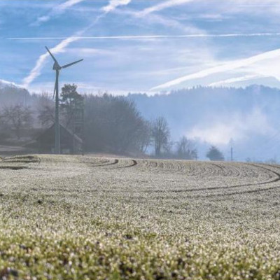 Das Jahr 2024 im Weinland